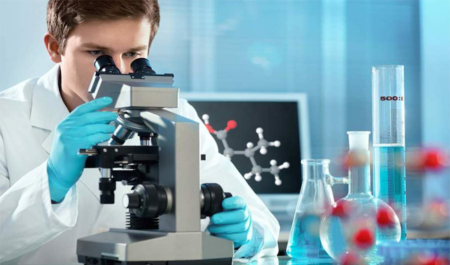 lab lab